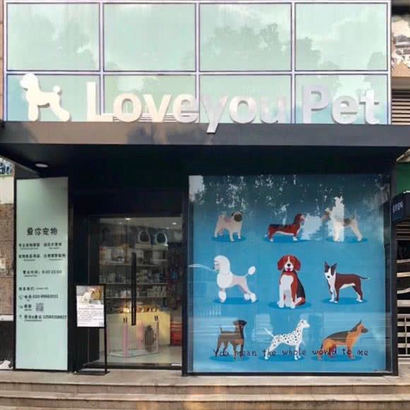 爱你宠物:广州市海珠区客村/赤岗附近