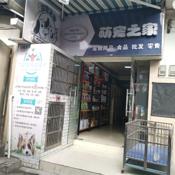 萌宠之家:广州市海珠区琶洲附近
