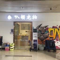 叭顿宠物:广州市海珠区琶洲附近