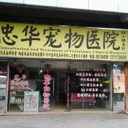 忠华宠物医院:广州市海珠区新港西路沿线附近