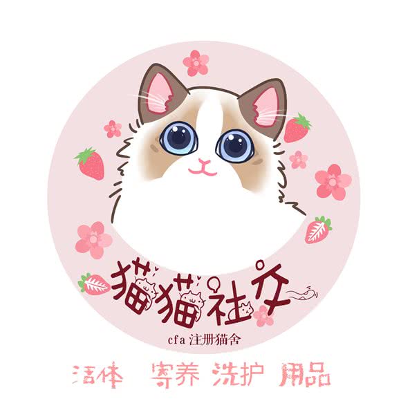 猫猫社交(宠物店):广州市天河区天河城/体育中心附近