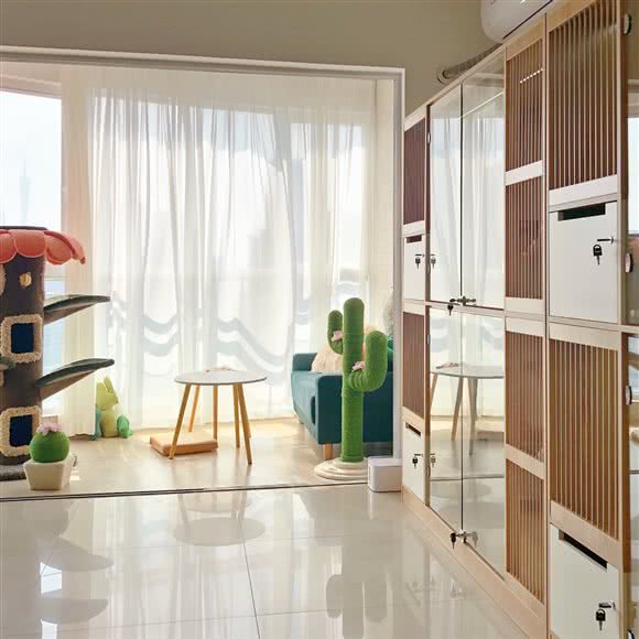 喵吉多猫咪寄养酒店:广州市天河区天河城/体育中心附近