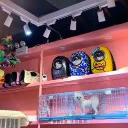 泰迪宝宝:广州市天河区天河城/体育中心附近