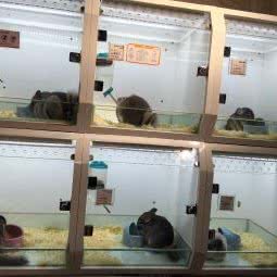 免子百货:广州市天河区天河城/体育中心附近