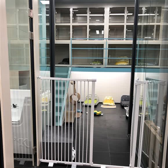 就系宠物店(猎德店):广州市天河区珠江新城附近