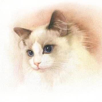 聚缘萌宠俱乐部:广州市天河区珠江新城附近