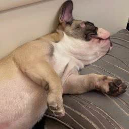 伦顿的家:广州市天河区珠江新城附近