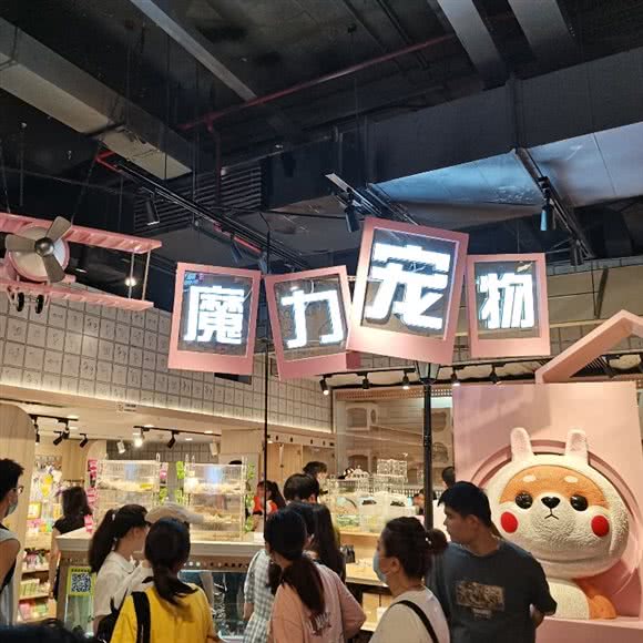 魔力宠物(时尚天河店):广州市天河区时尚天河附近
