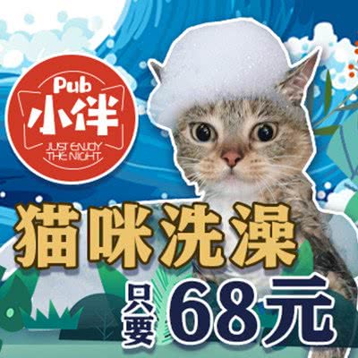 小伴猫BAR:广州市天河区天河公园/上社附近