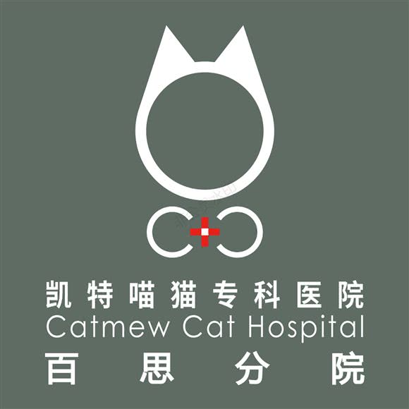 凯特喵百思猫专科医院:广州市天河区天河公园/上社附近