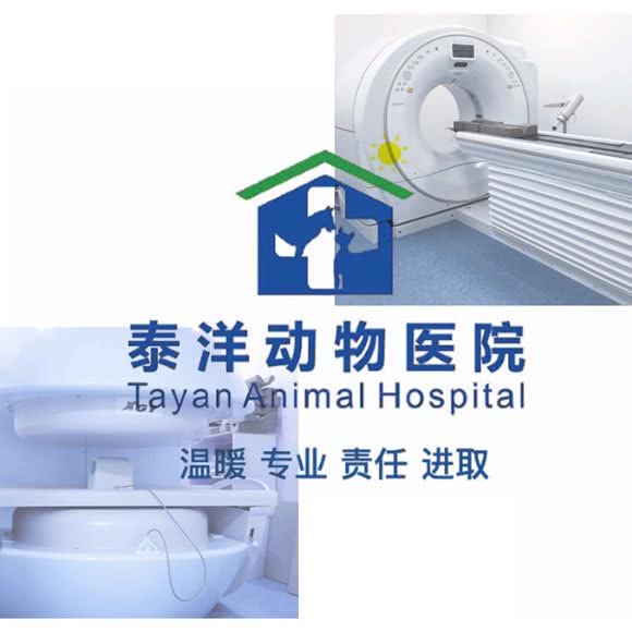 泰洋动物医院( 天河公园总院):广州市天河区天河公园/上社附近