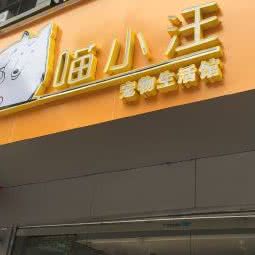 喵小汪宠物生活馆(体育西店):广州市天河区天河公园/上社附近