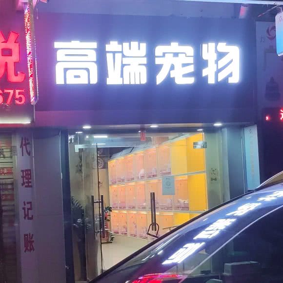 高端宠物:广州市天河区车陂/东圃附近