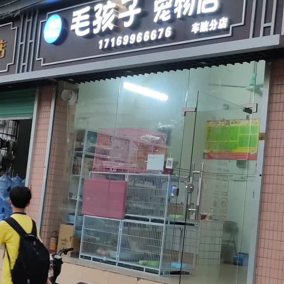 毛孩子宠物店(车陂分店):广州市天河区车陂/东圃附近