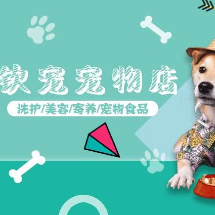 钦宠宠物馆(东圃店):广州市天河区车陂/东圃附近