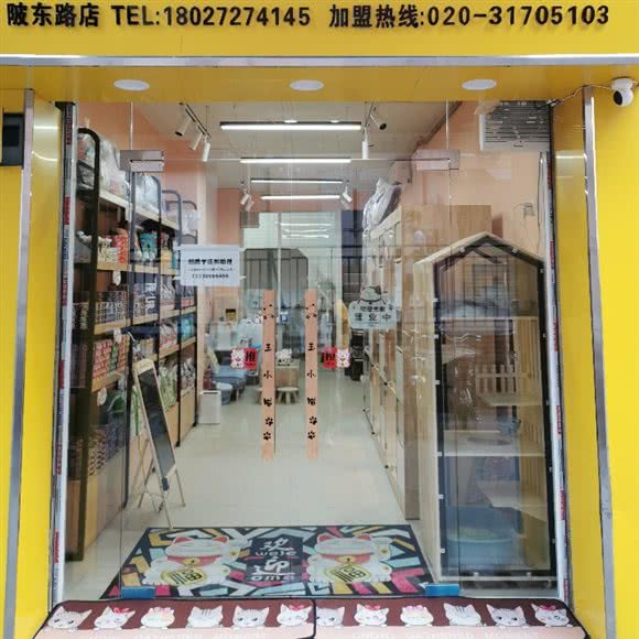 王小喵专业猫馆(吉满家店):广州市天河区车陂/东圃附近
