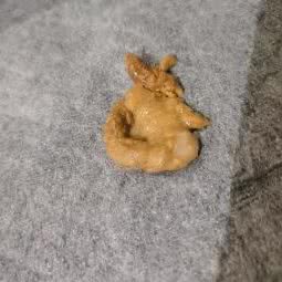 喵皛汪萌宠屋(天河店):广州市天河区车陂/东圃附近