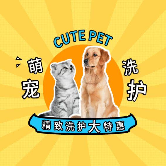 钦宠狗狗馆:广州市天河区车陂/东圃附近