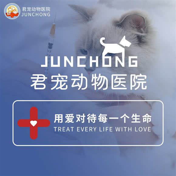 君宠动物医院(车陂分院):广州市天河区车陂/东圃附近