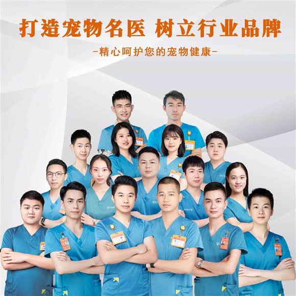 创凡宠物医院·24H·内科·猫科动物·综合全科:广州市天河区车陂/东圃附近