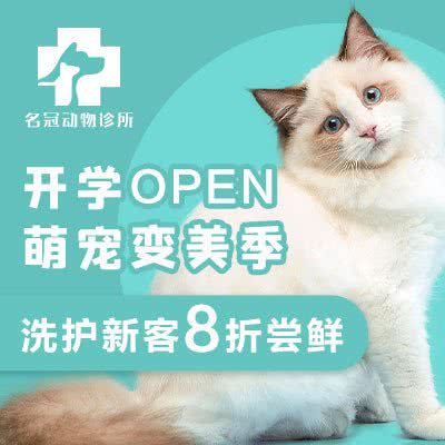 名冠动物诊所(车陂店):广州市天河区车陂/东圃附近