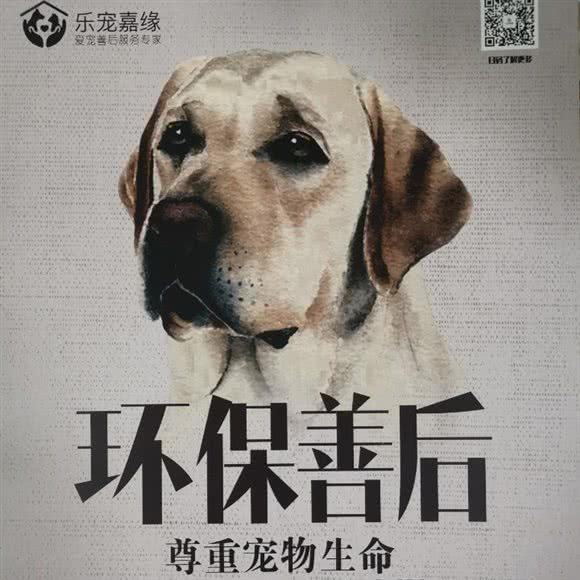 乐宠嘉缘宠物·善后·殡葬·火化·埋葬:天津城区西青区华苑科技园附近