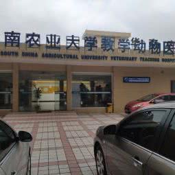 华南农业大学动物医院:广州市天河区燕岭/五山附近