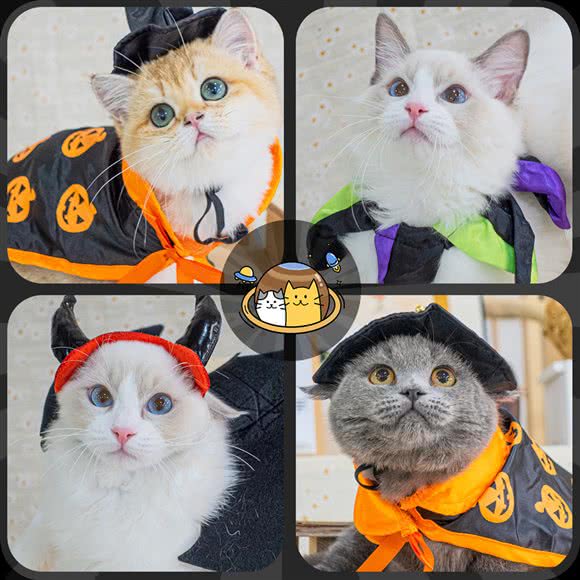 Universe猫宇:广州市天河区天河客运站附近