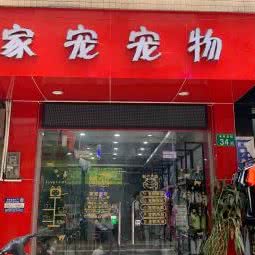 家宠宠物店:广州市天河区龙洞/岑村附近