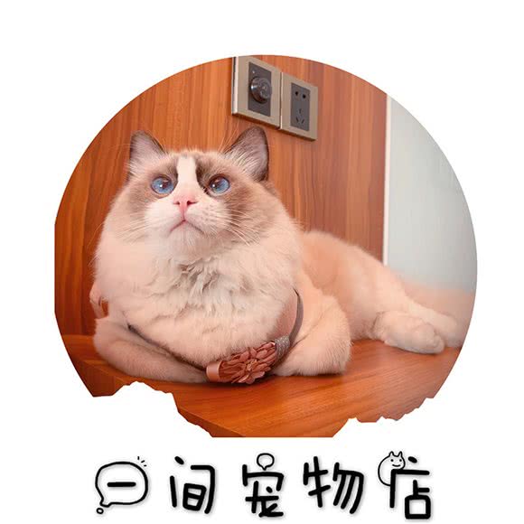 一间宠物店:广州市天河区龙洞/岑村附近