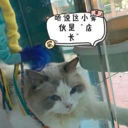 好德宠宠物生活馆:广州市天河区龙洞/岑村附近