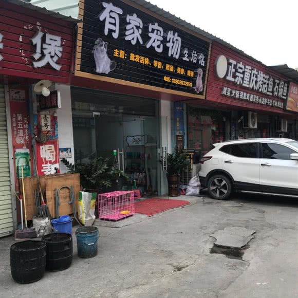 有家宠物生活馆:广州市天河区龙洞/岑村附近