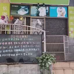 铲屎君之家:广州市天河区龙洞/岑村附近