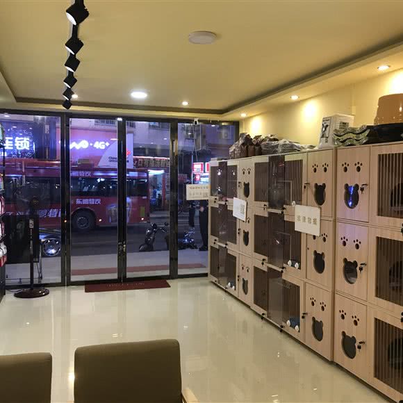 喵趣宠物(迎龙路店):广州市天河区龙洞/岑村附近