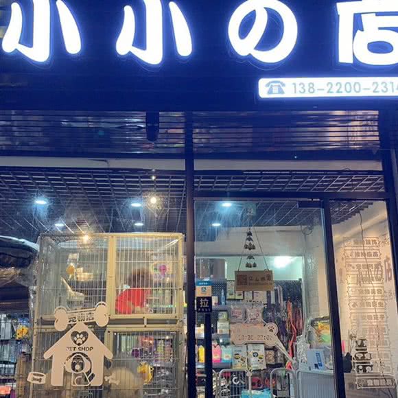 小小的宠物店:广州市天河区龙洞/岑村附近