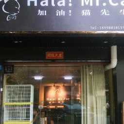 加油猫先生猫咖·估系宠物店:广州市天河区龙洞/岑村附近