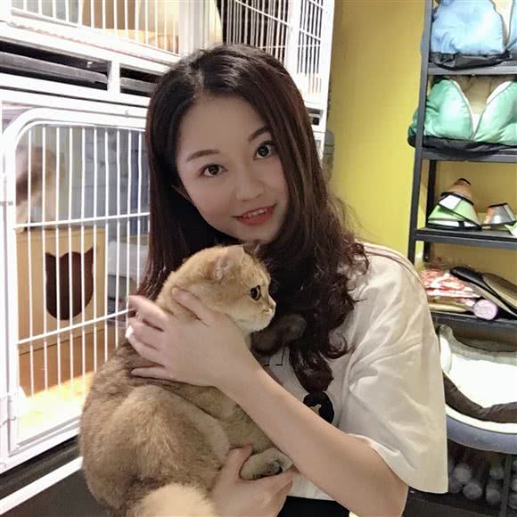 喵趣宠物(渔沙坦店):广州市天河区龙洞/岑村附近