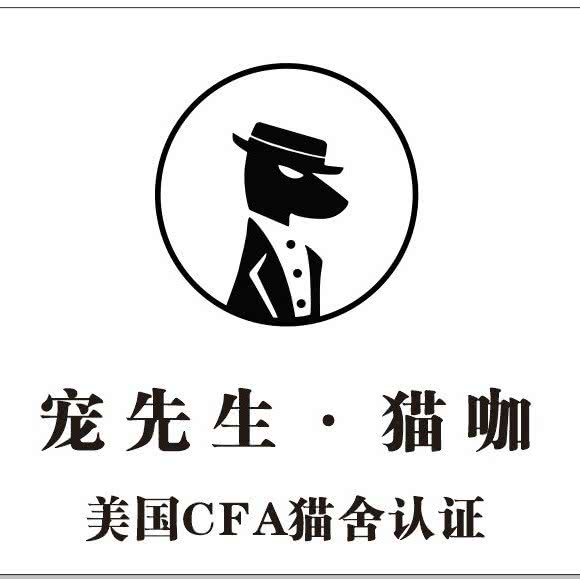 宠先生·猫咖·寄养·洗澡·宠物:广州市天河区沙河/天平架/梅花园附近