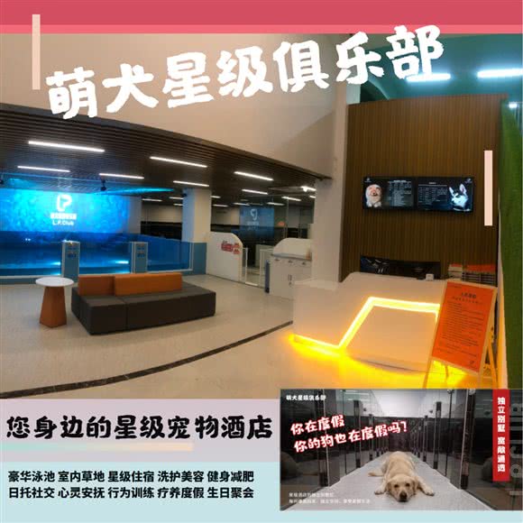 萌犬星级俱乐部(宠物星级酒店乐园):广州市天河区员村附近