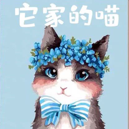 它家的喵:广州市天河区岑村/火炉山附近