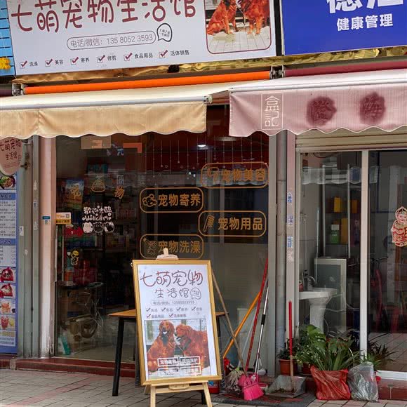 七萌宠物生活馆:广州市天河区石牌/百脑汇附近