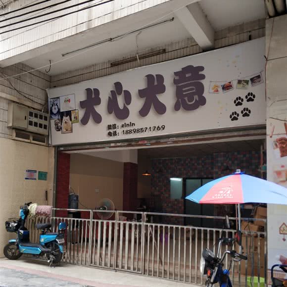 犬心犬意宠物生活馆:广州市白云区同和/京溪附近