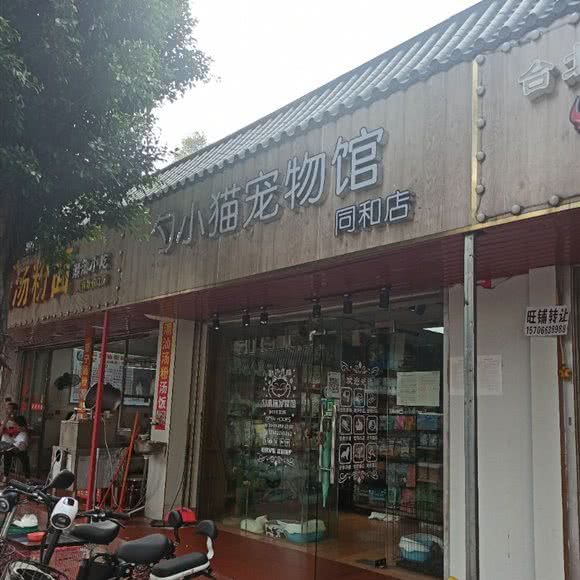 勺小猫宠物馆(同和店):广州市白云区同和/京溪附近