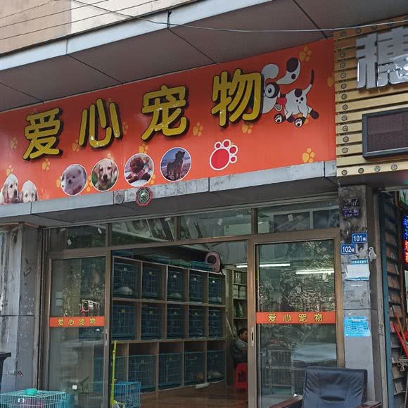 爱心宠物:广州市白云区同和/京溪附近