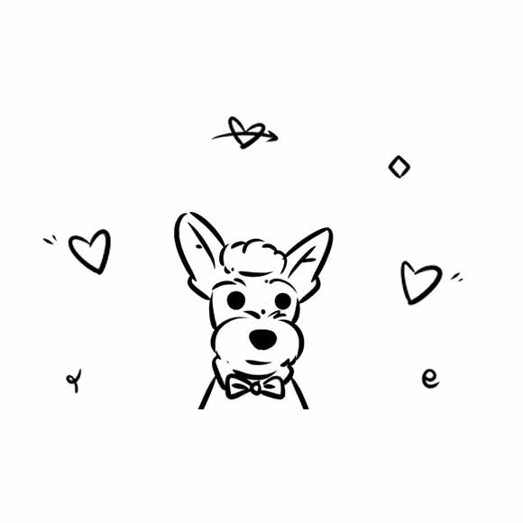 熊小贱宠物生活馆:广州市白云区同和/京溪附近