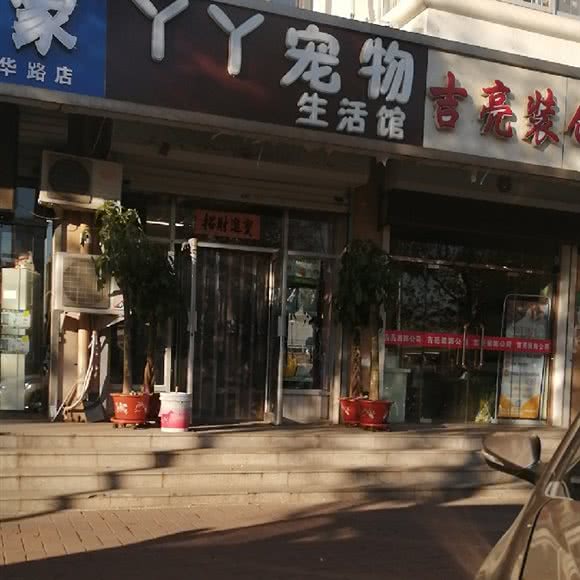 丫丫宠物狗生活馆:天津城区津南区咸水沽附近