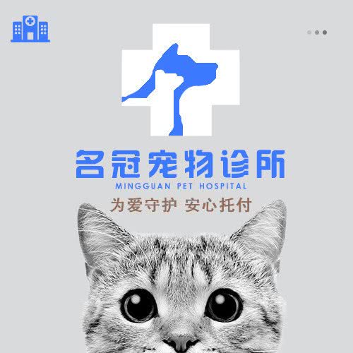 名冠动物诊所(同和店):广州市白云区同和/京溪附近