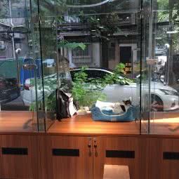 遇见它宠物店:广州市白云区广园新村附近