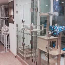 有家宠屋:广州市白云区机场路沿线附近