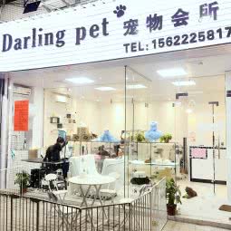 Darling Pet宠物会所:广州市白云区机场路沿线附近